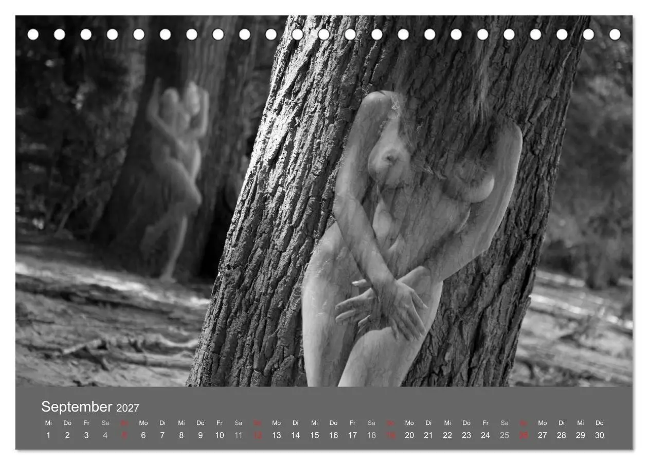 Bild: 9783569929777 | Akt und Visionen (Tischkalender 2027 DIN A5 quer), CALVENDO...