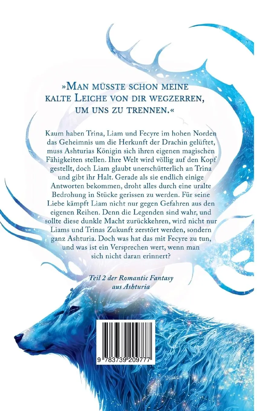 Rückseite: 9783739209777 | Ashturia | Der Drache der Königin | Naomi Huber | Taschenbuch | 354 S.