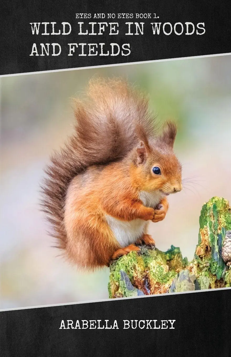 Cover: 9781922619877 | Wild Life in Woods and Fields | Arabella Buckley | Taschenbuch | 2021
