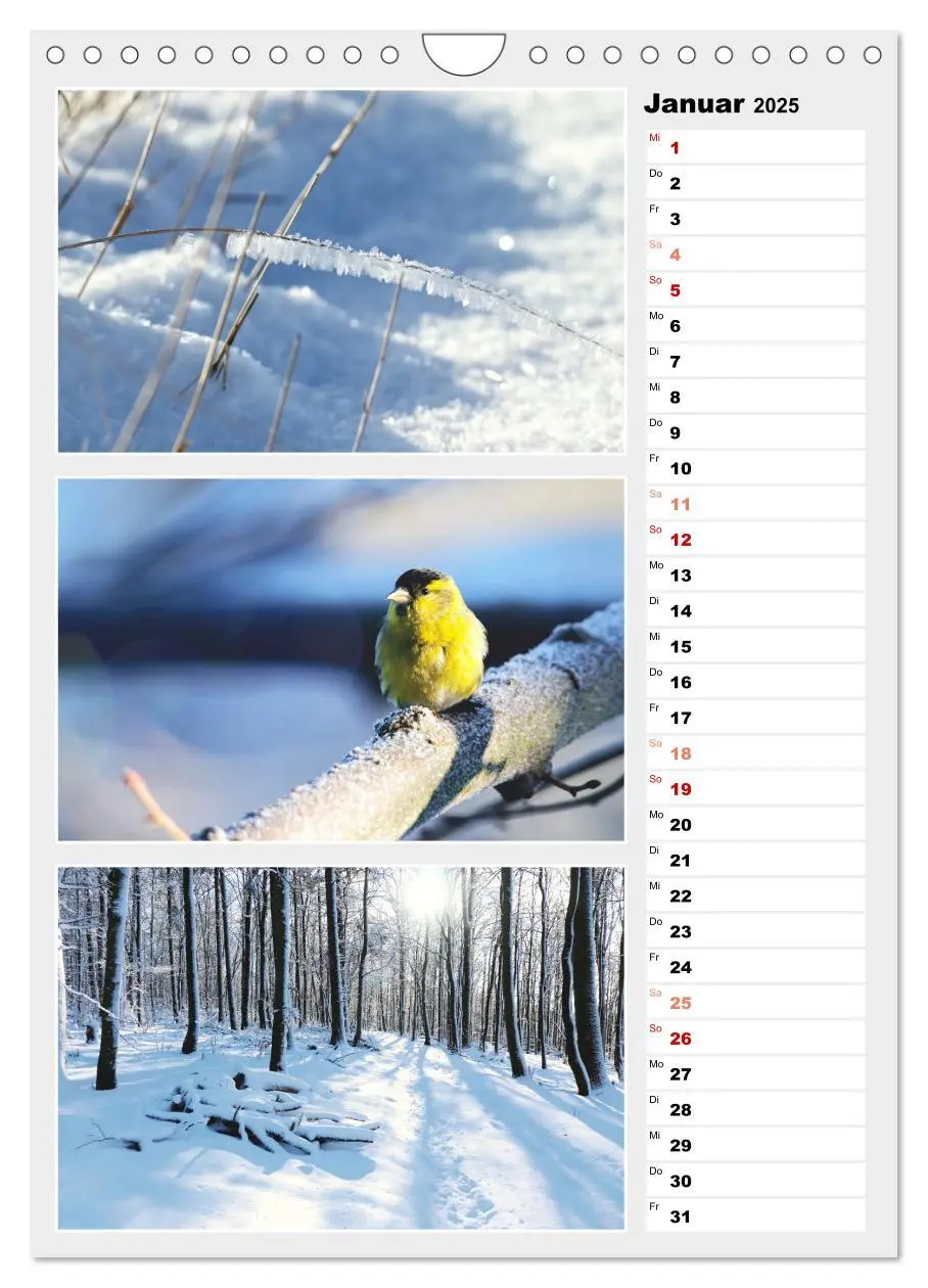Bild: 9783435889877 | Zauberhafte Farben der Natur (Wandkalender 2025 DIN A4 hoch),...