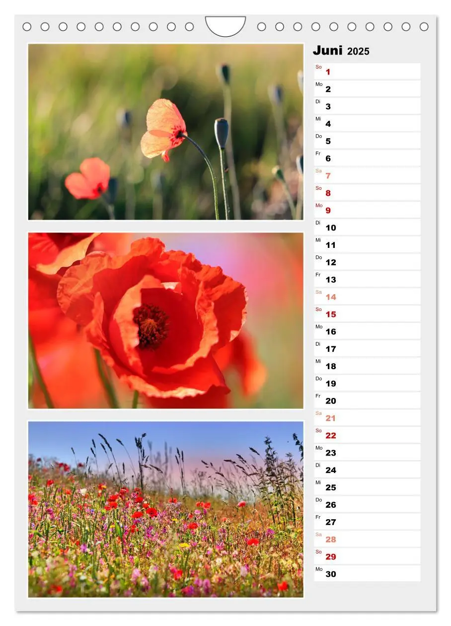 Bild: 9783435889877 | Zauberhafte Farben der Natur (Wandkalender 2025 DIN A4 hoch),...