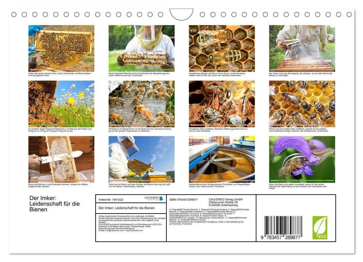 Bild: 9783457289877 | Der Imker: Leidenschaft für die Bienen (Wandkalender 2026 DIN A4...