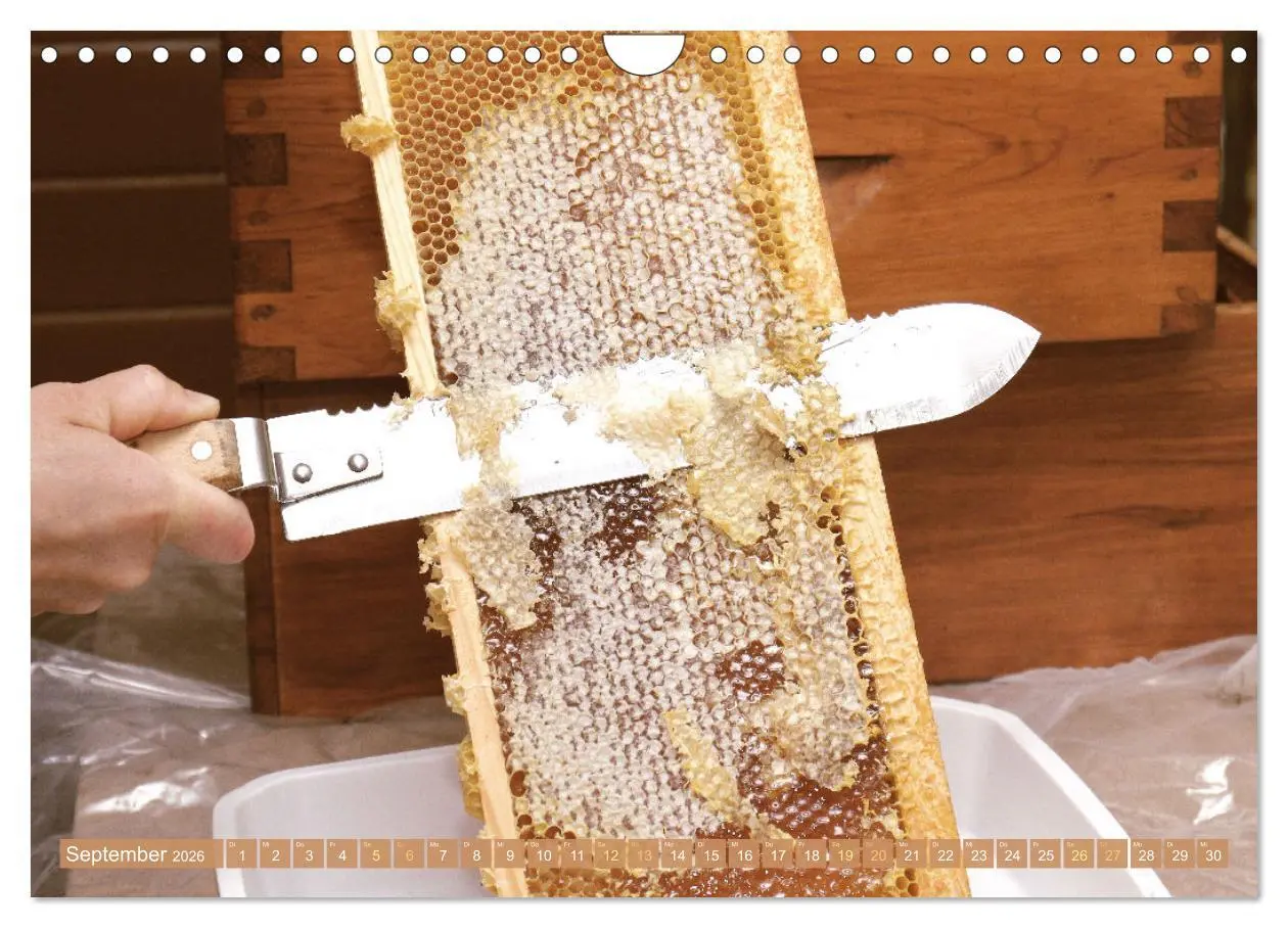 Bild: 9783457289877 | Der Imker: Leidenschaft für die Bienen (Wandkalender 2026 DIN A4...