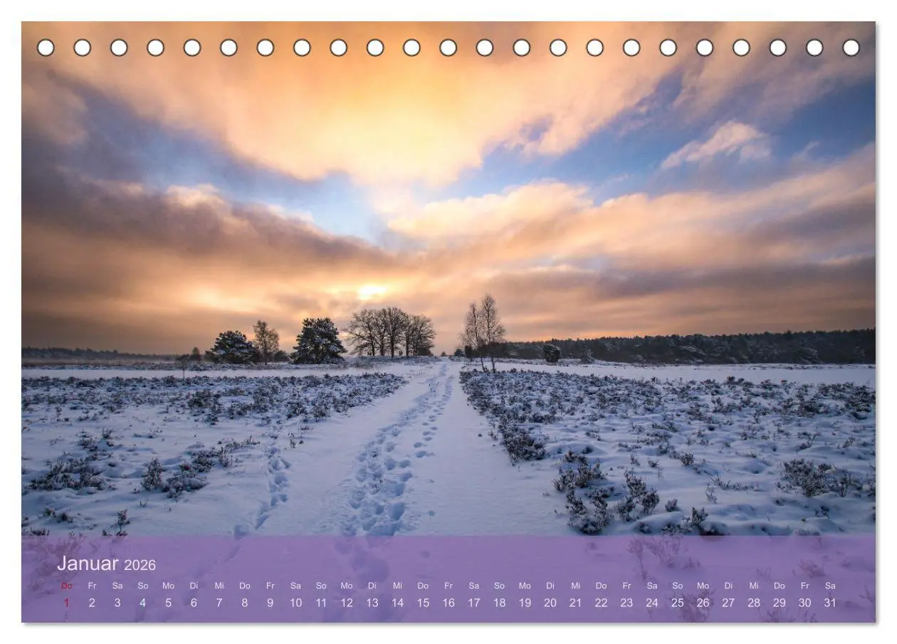 Bild: 9783457599877 | Naturschutzgebiet Lüneburger Heide (Tischkalender 2026 DIN A5...