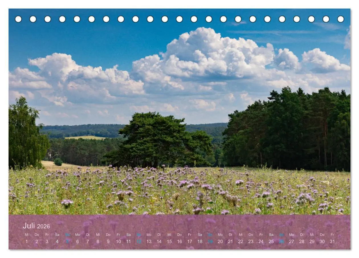 Bild: 9783457599877 | Naturschutzgebiet Lüneburger Heide (Tischkalender 2026 DIN A5...