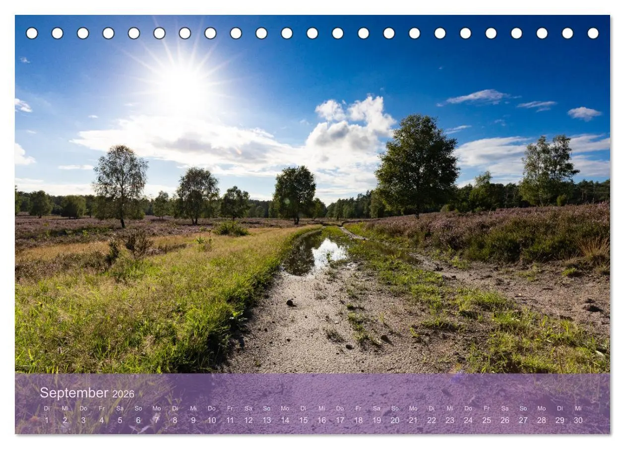Bild: 9783457599877 | Naturschutzgebiet Lüneburger Heide (Tischkalender 2026 DIN A5...