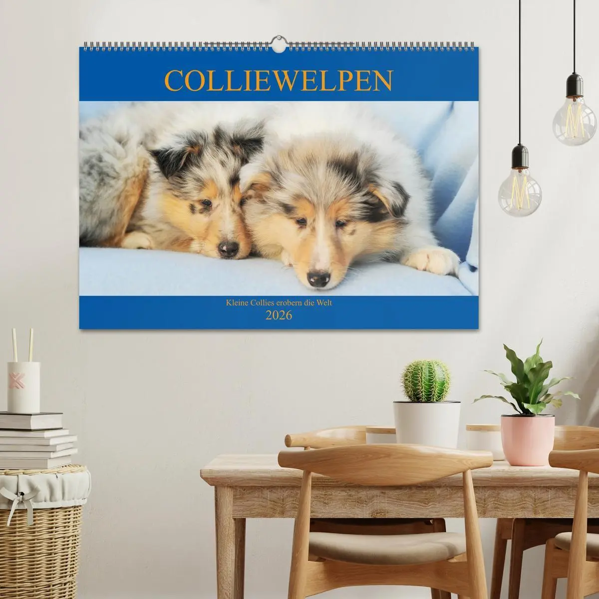 Bild: 9783457809877 | Colliewelpen - kleine Collies erobern die Welt (Wandkalender 2026...