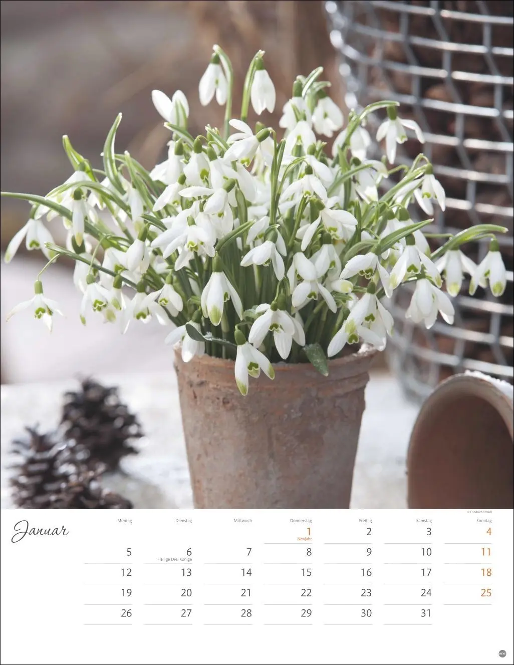 Bild: 9783756409877 | Bunter Blütenzauber Posterkalender 2026 | Heye | Kalender | 14 S.
