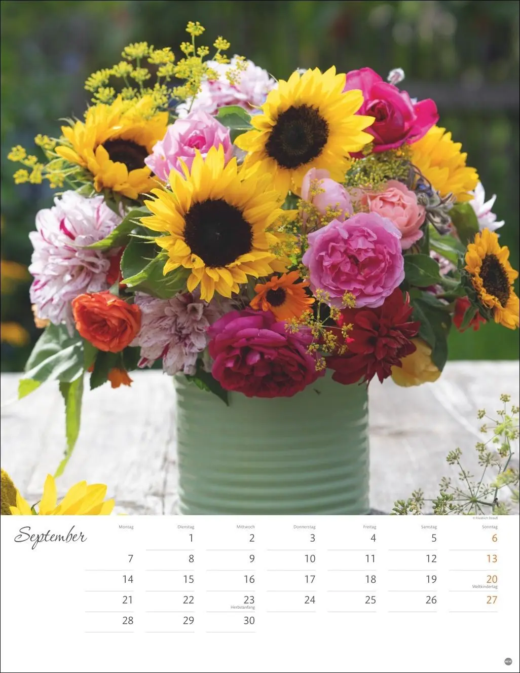 Bild: 9783756409877 | Bunter Blütenzauber Posterkalender 2026 | Heye | Kalender | 14 S.