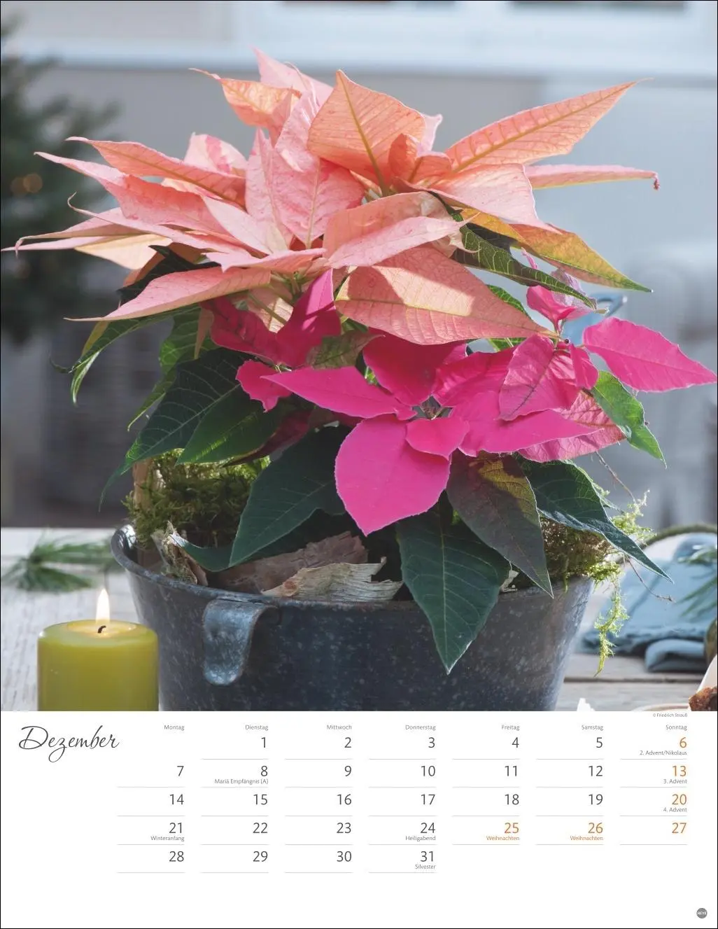 Bild: 9783756409877 | Bunter Blütenzauber Posterkalender 2026 | Heye | Kalender | 14 S.