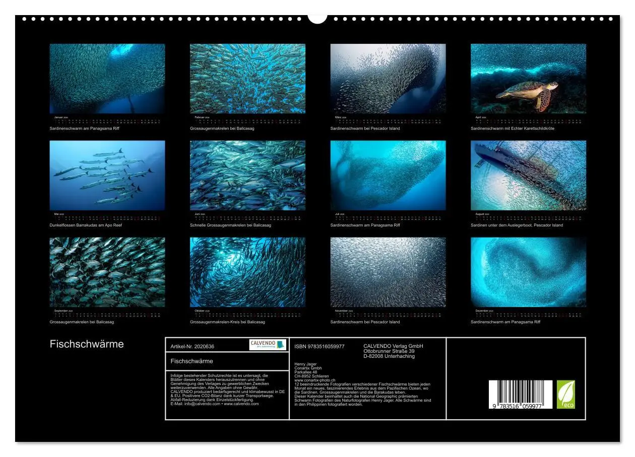 Bild: 9783516059977 | Fischschwärme (hochwertiger Premium Wandkalender 2026 DIN A2 quer),...