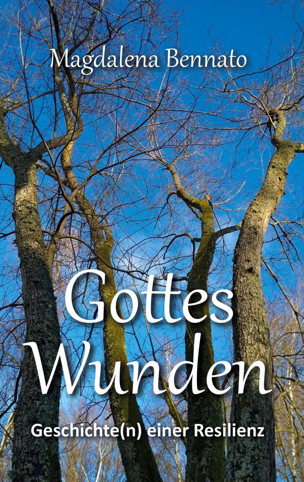 Cover: 9783347260078 | Gottes Wunden | Geschichte(n) einer Resilienz | Magdalena Bennato