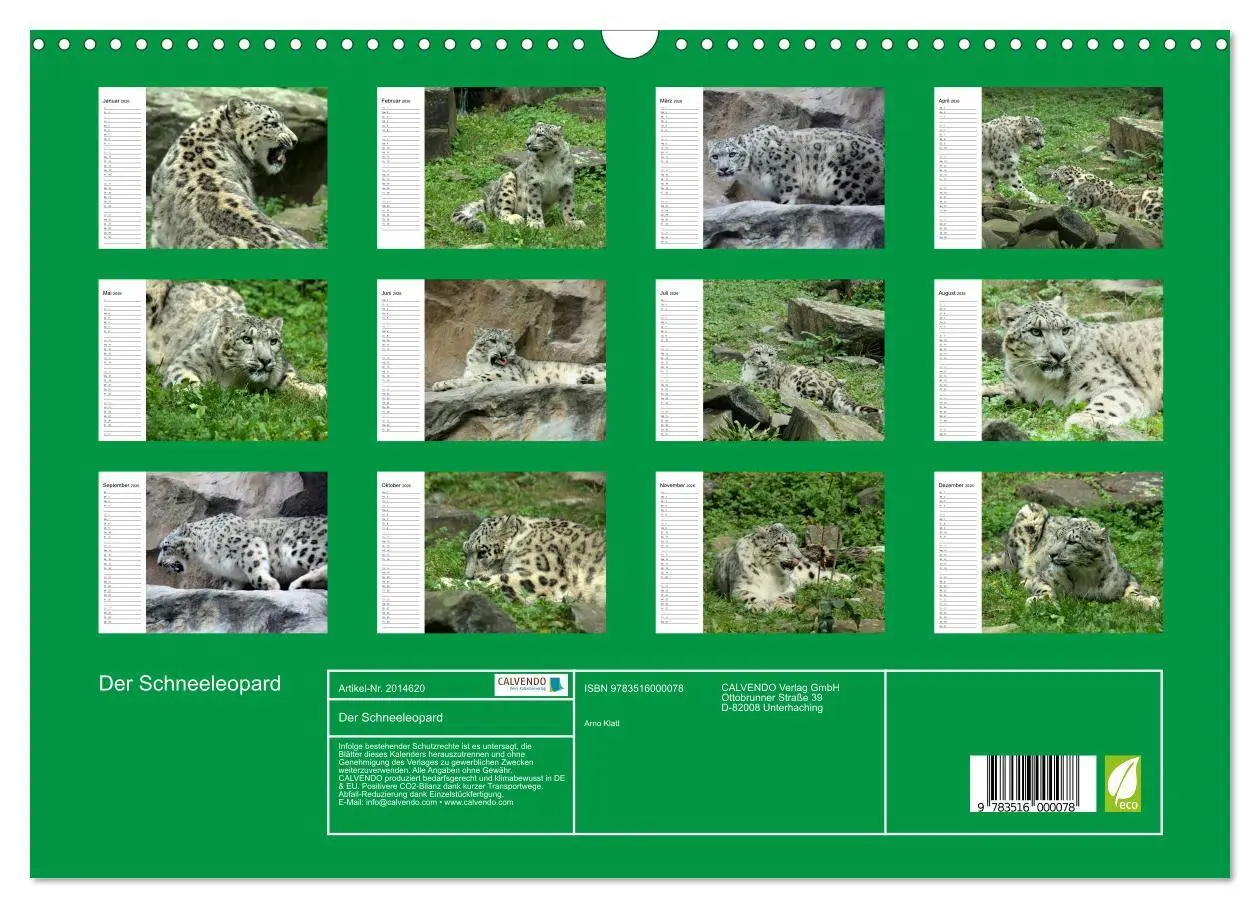 Bild: 9783516000078 | Der Schneeleopard (Wandkalender 2026 DIN A3 quer), CALVENDO...