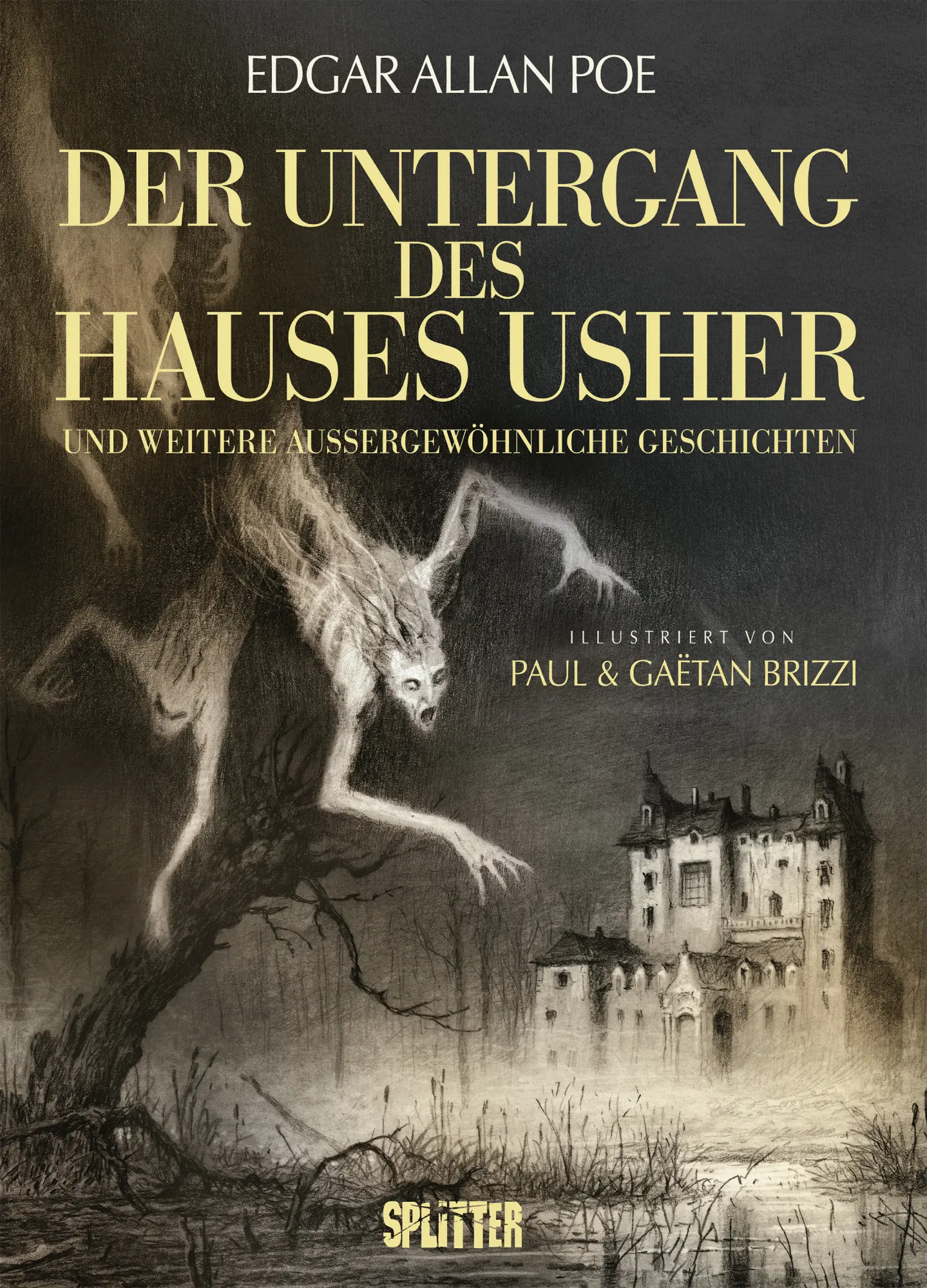 Cover: 9783689500078 | Der Untergang des Hauses Usher (illustrierter Roman) | Edgar Allan Poe