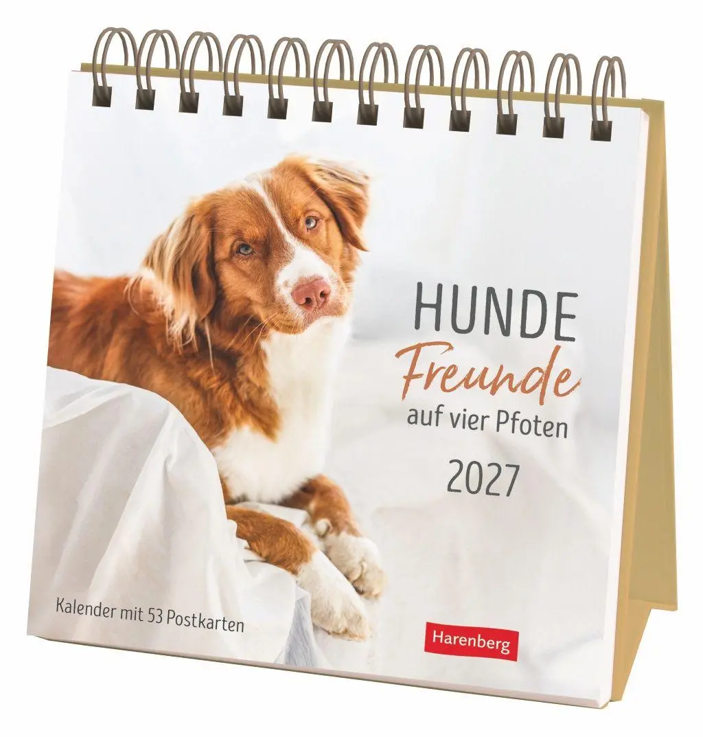 Cover: 9783840040078 | Hunde Premium-Postkartenkalender 2027 - Freunde auf vier Pfoten;...