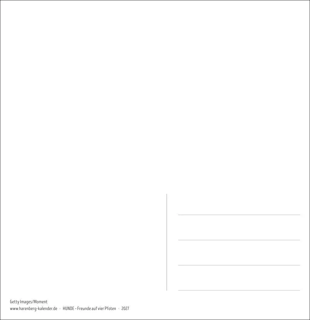 Bild: 9783840040078 | Hunde Premium-Postkartenkalender 2027 - Freunde auf vier Pfoten;...
