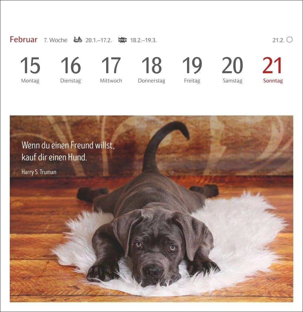 Bild: 9783840040078 | Hunde Premium-Postkartenkalender 2027 - Freunde auf vier Pfoten;...