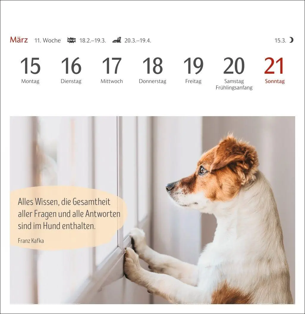 Bild: 9783840040078 | Hunde Premium-Postkartenkalender 2027 - Freunde auf vier Pfoten;...
