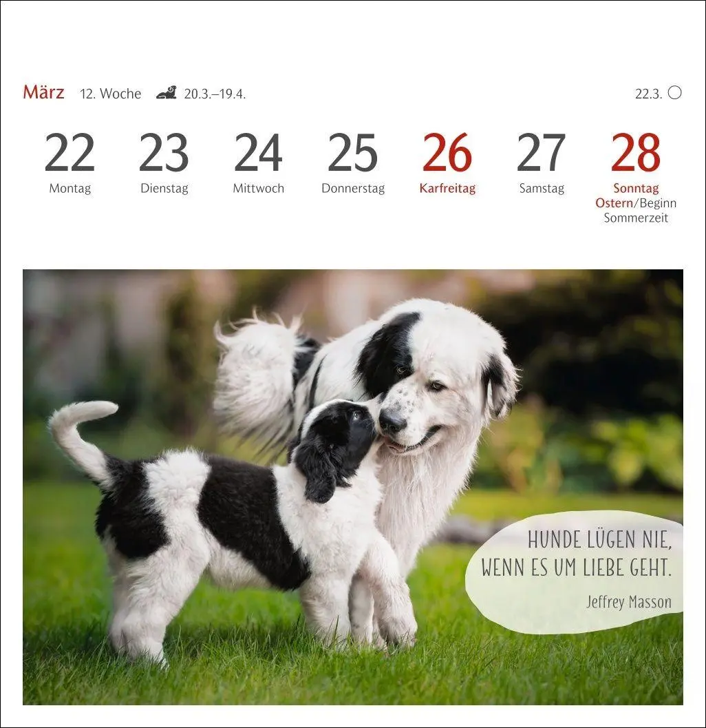 Bild: 9783840040078 | Hunde Premium-Postkartenkalender 2027 - Freunde auf vier Pfoten;...