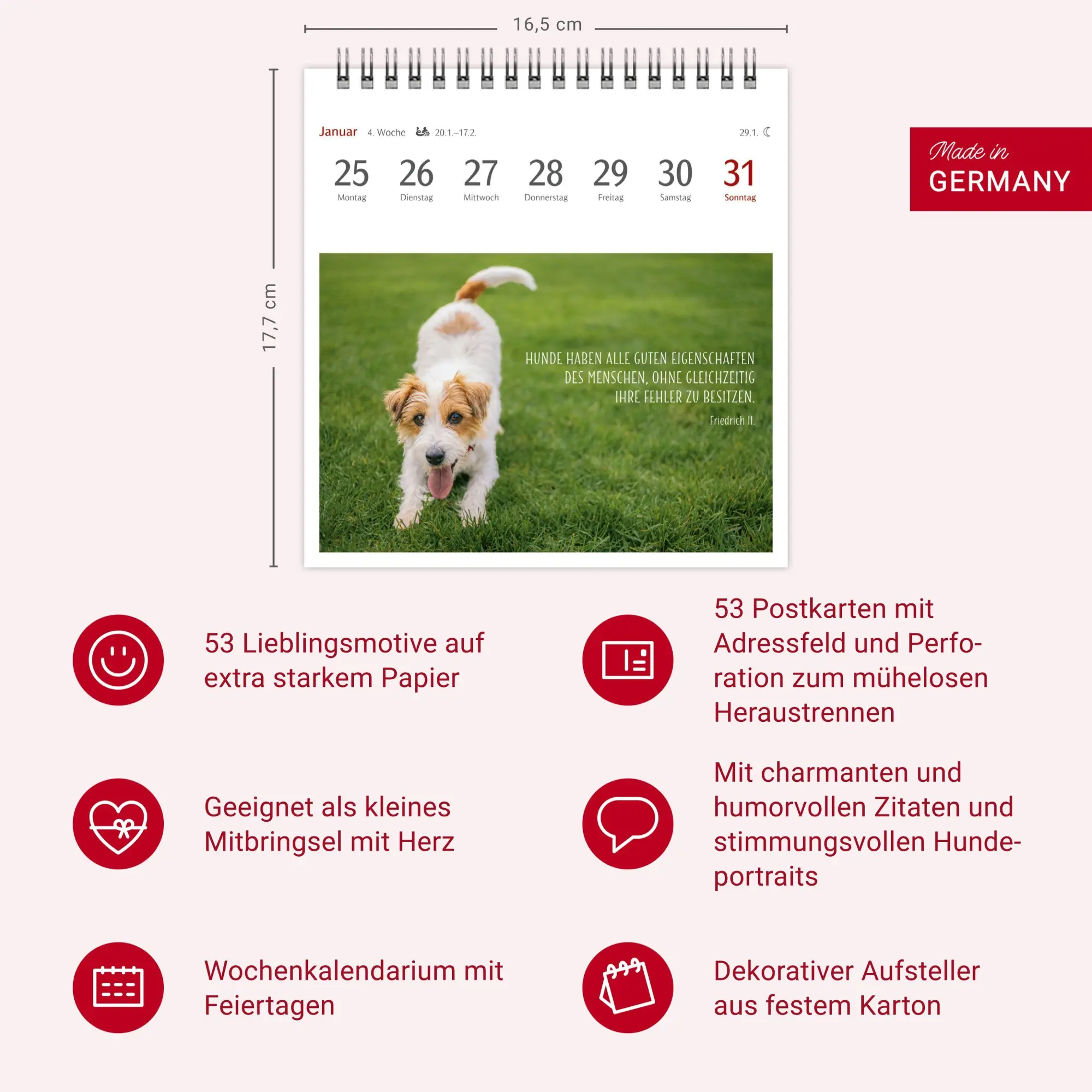 Bild: 9783840040078 | Hunde Premium-Postkartenkalender 2027 - Freunde auf vier Pfoten;...