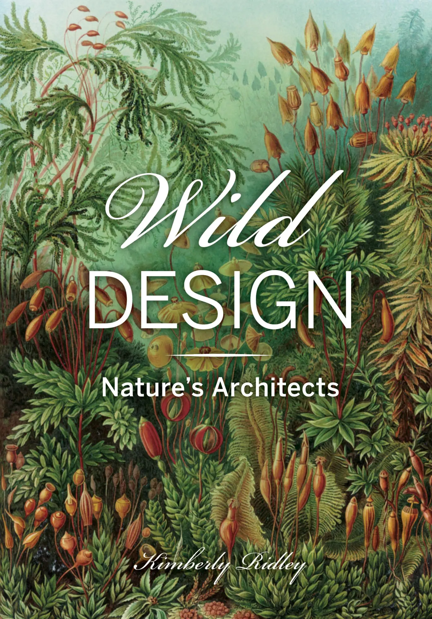 Cover: 9781648960178 | Wild Design | Nature's Architects | Kimberly Ridley | Buch | Gebunden