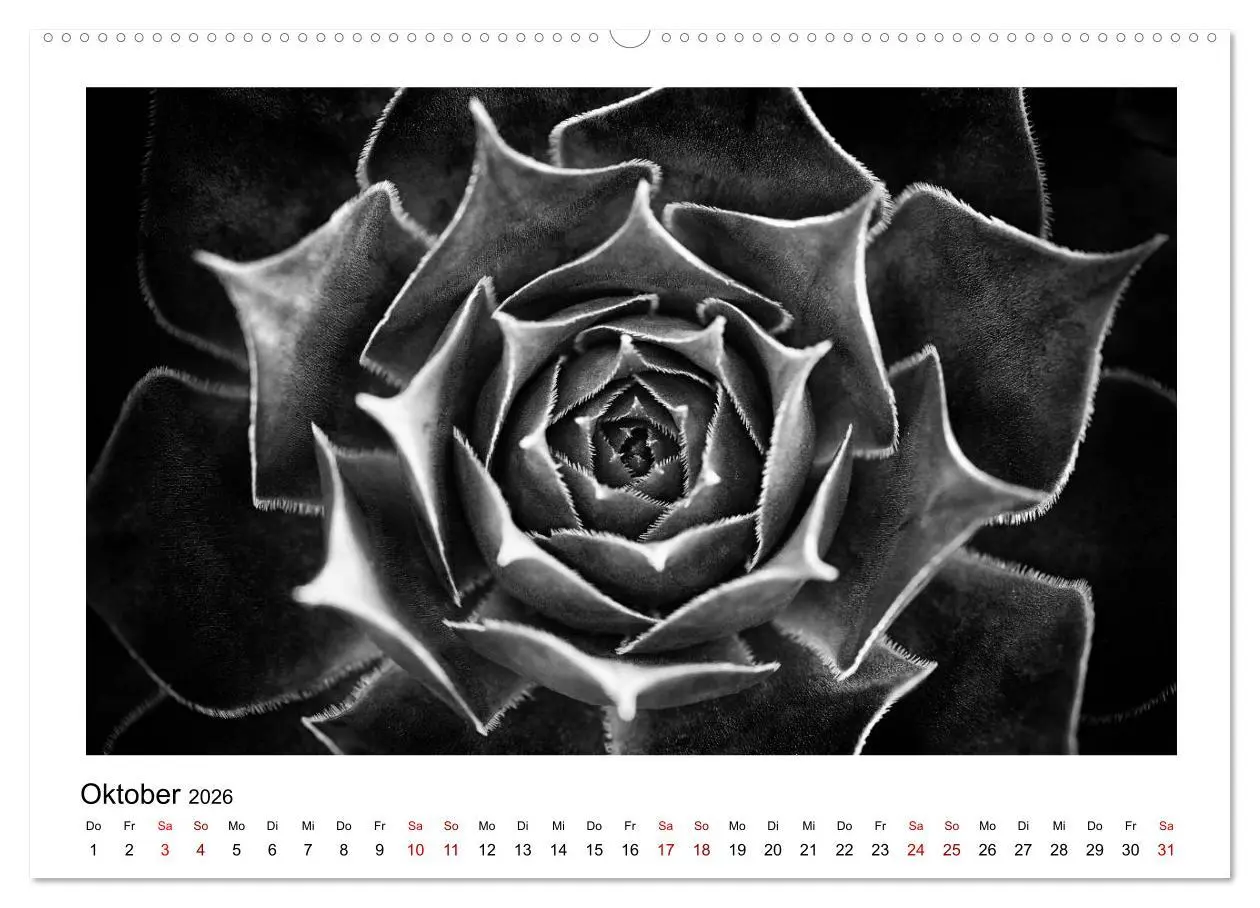 Bild: 9783457900178 | Die grafische Schönheit der Pflanzen - Schwarz-Weiß (Wandkalender...