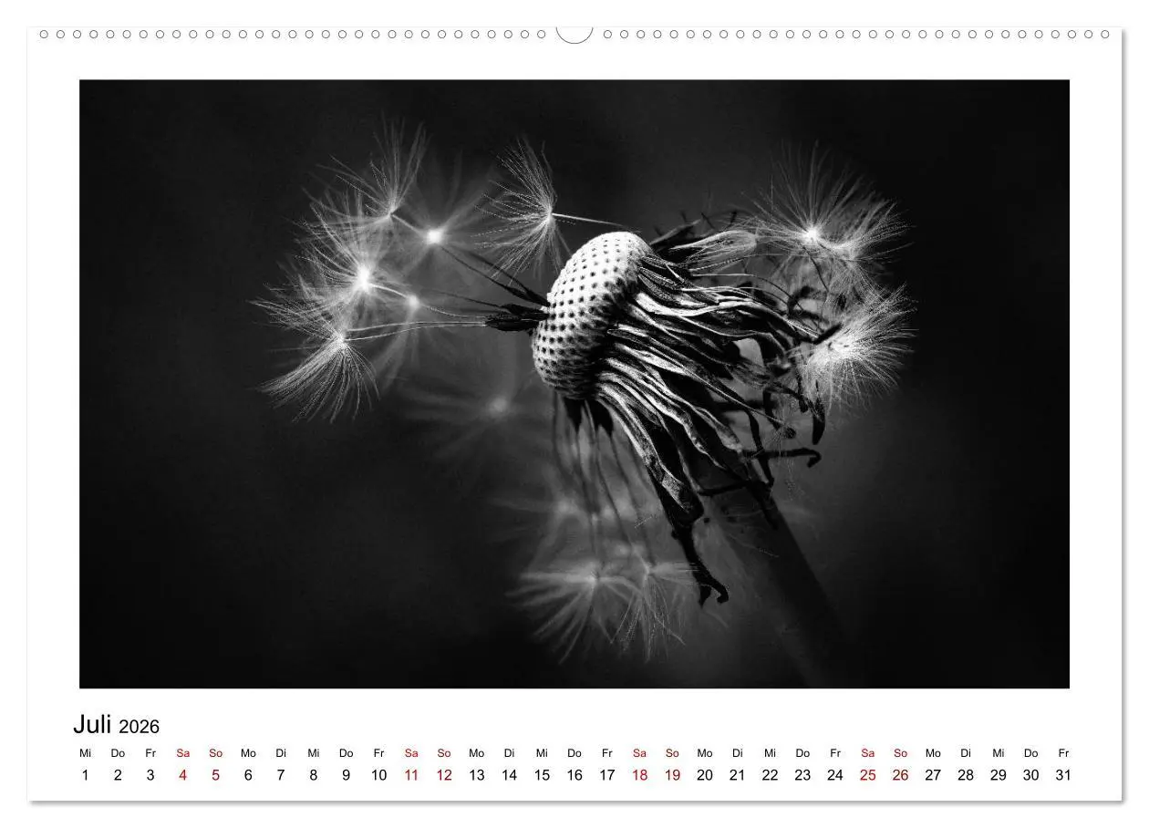 Bild: 9783457900178 | Die grafische Schönheit der Pflanzen - Schwarz-Weiß (Wandkalender...
