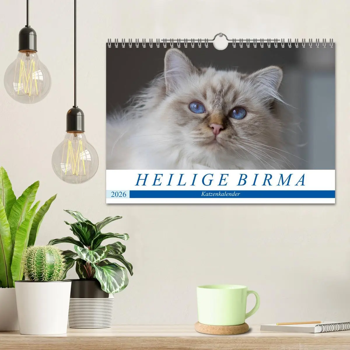 Bild: 9783516160178 | Heilige Birma Katzenkalender (Wandkalender 2026 DIN A4 quer),...