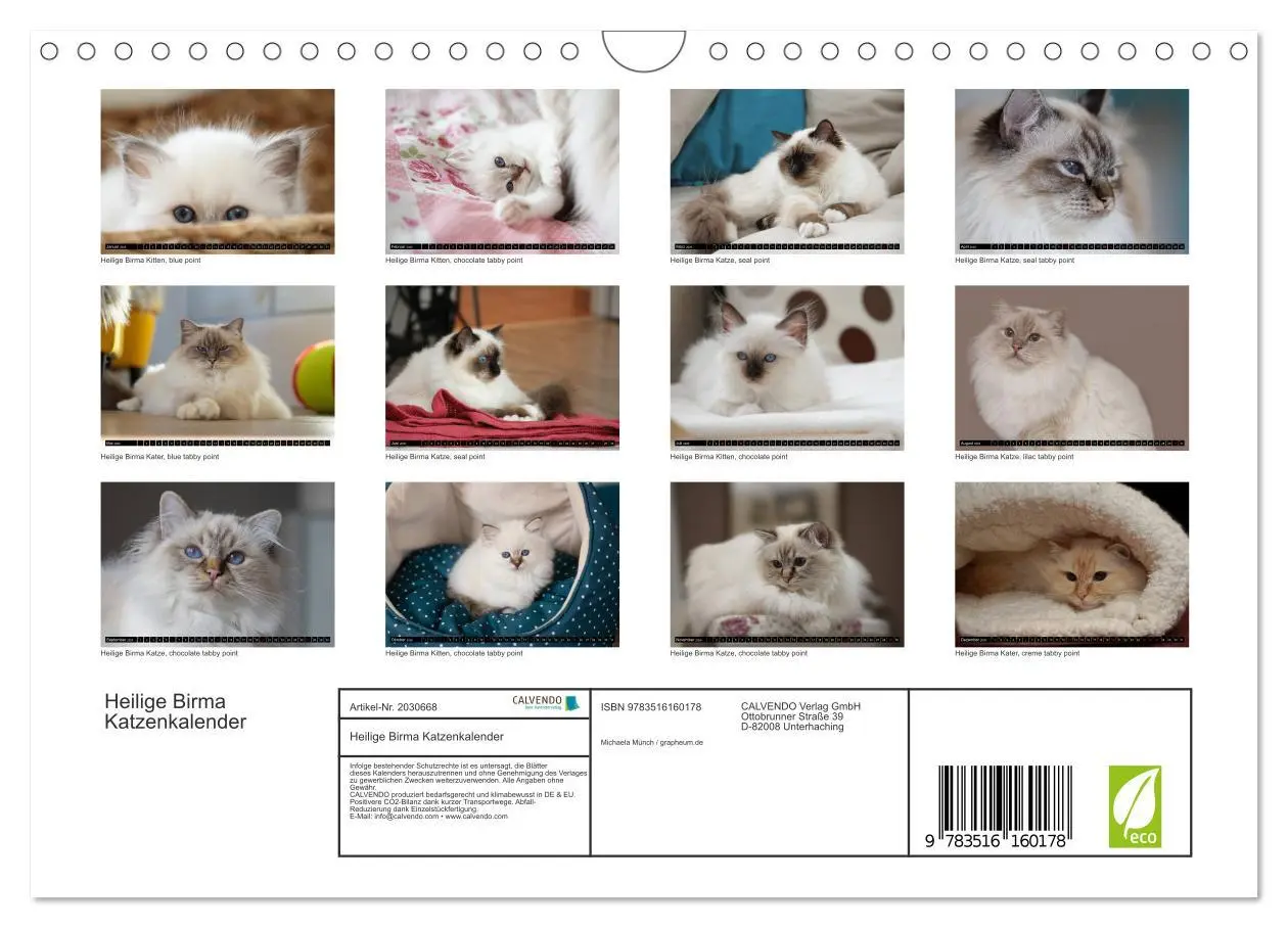 Bild: 9783516160178 | Heilige Birma Katzenkalender (Wandkalender 2026 DIN A4 quer),...