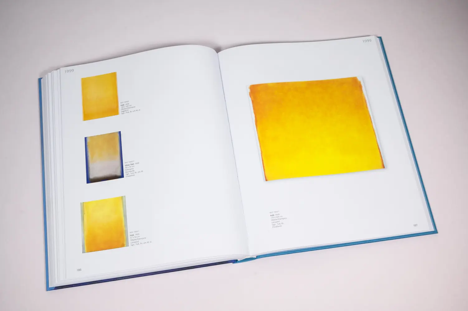 Bild: 9783987410178 | Armin Turk | Malerei - Werkverzeichnis der Gemälde | Armin Turk | Buch