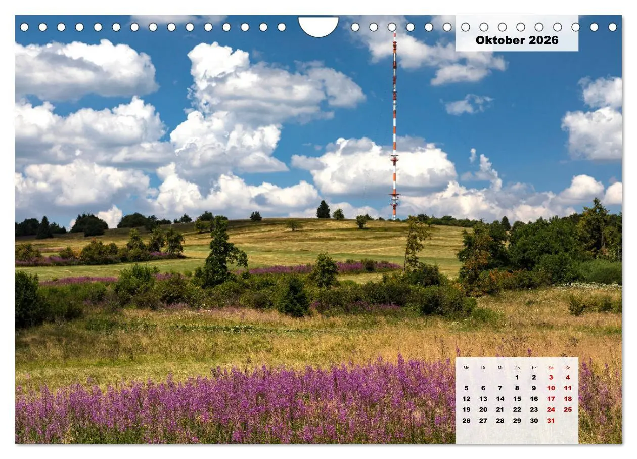 Bild: 9783457820278 | Rhöner Röschen - ein Sommermärchen in der Hochrhön (Wandkalender...