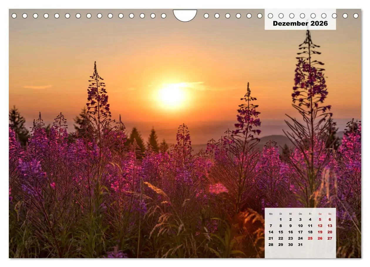 Bild: 9783457820278 | Rhöner Röschen - ein Sommermärchen in der Hochrhön (Wandkalender...