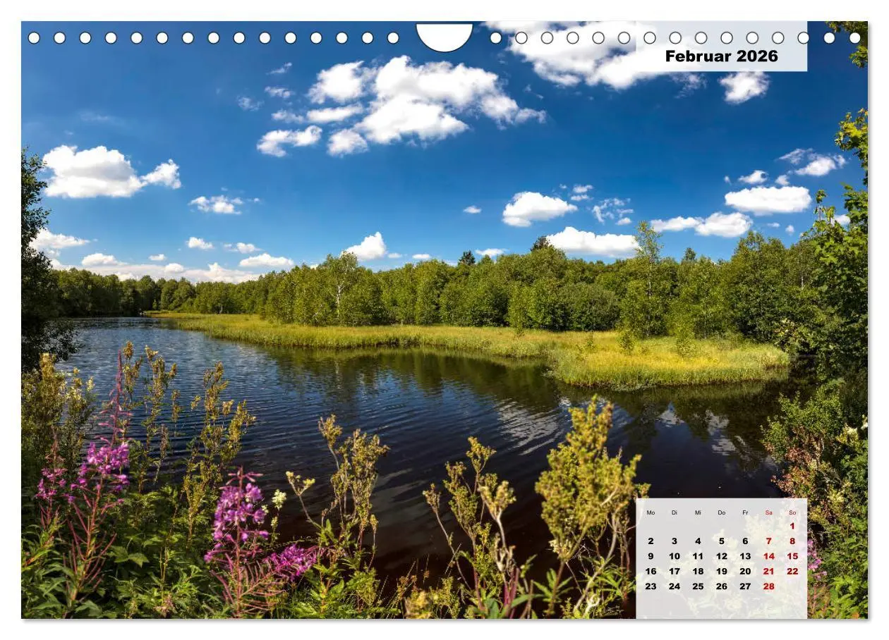 Bild: 9783457820278 | Rhöner Röschen - ein Sommermärchen in der Hochrhön (Wandkalender...