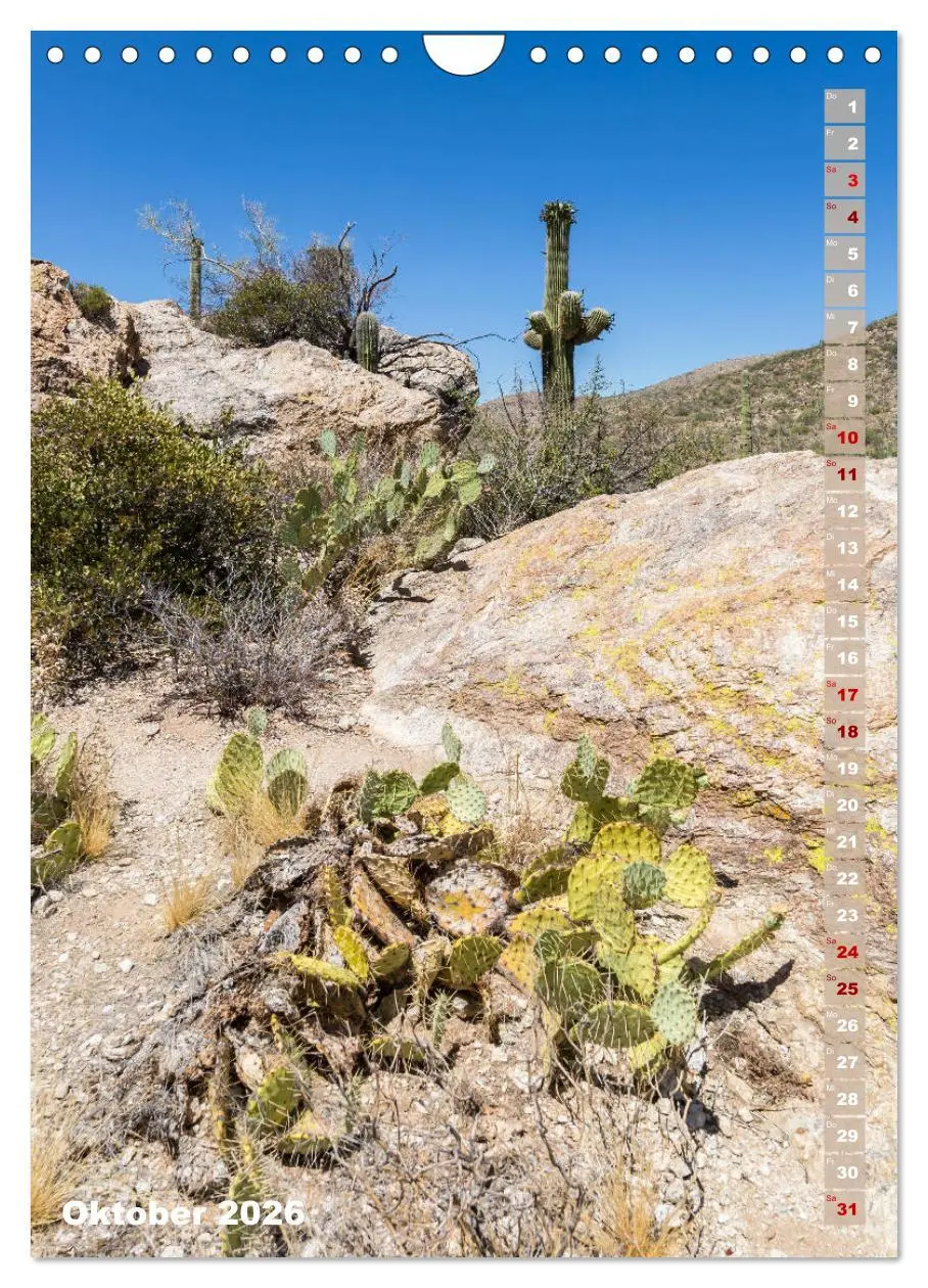 Bild: 9783516390278 | SAGUARO NATIONAL PARK Wüstenimpressionen aus Arizona (Wandkalender...