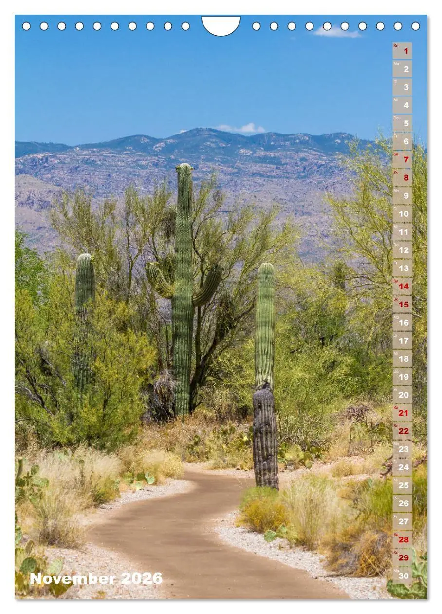 Bild: 9783516390278 | SAGUARO NATIONAL PARK Wüstenimpressionen aus Arizona (Wandkalender...
