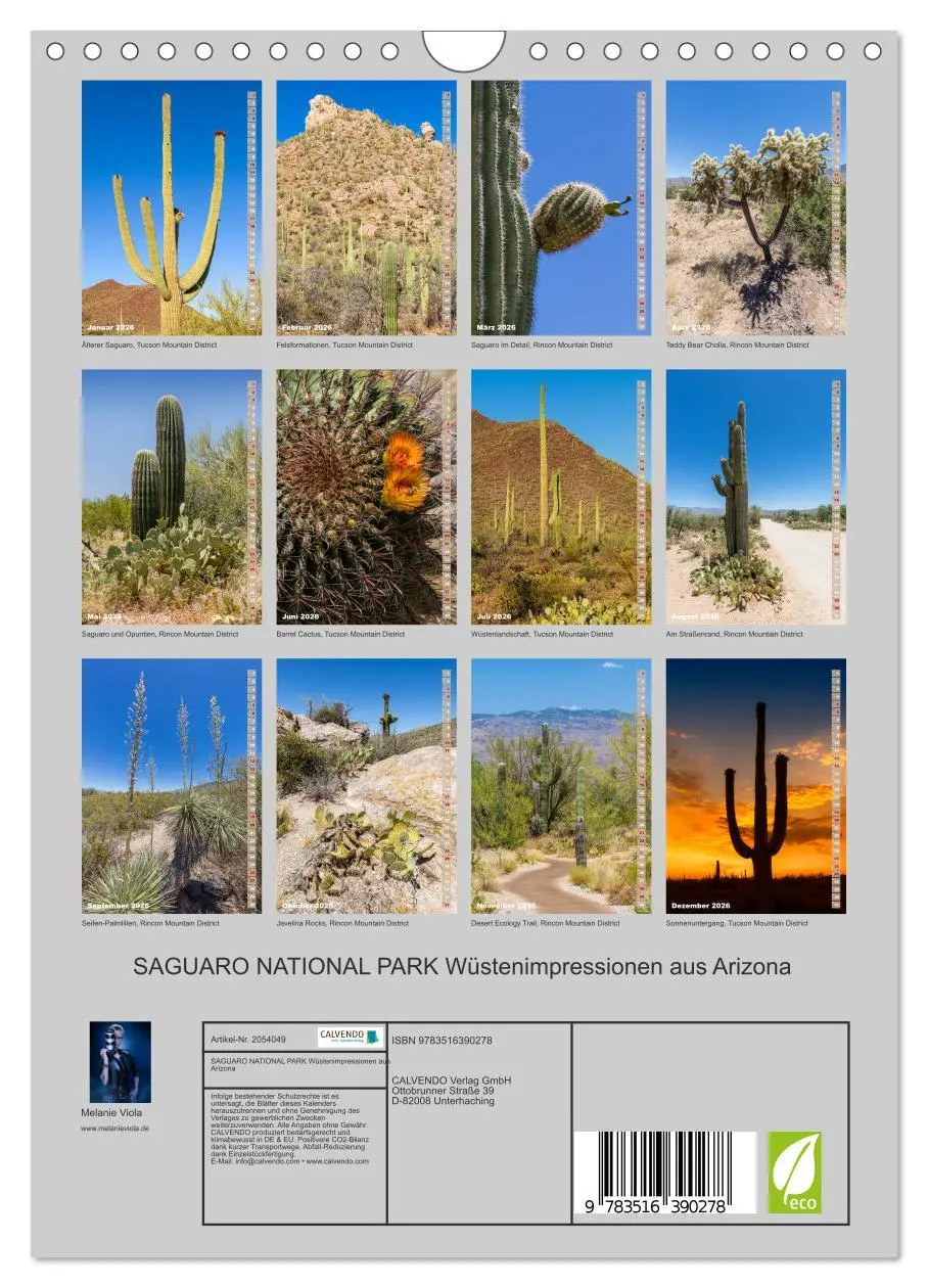 Bild: 9783516390278 | SAGUARO NATIONAL PARK Wüstenimpressionen aus Arizona (Wandkalender...