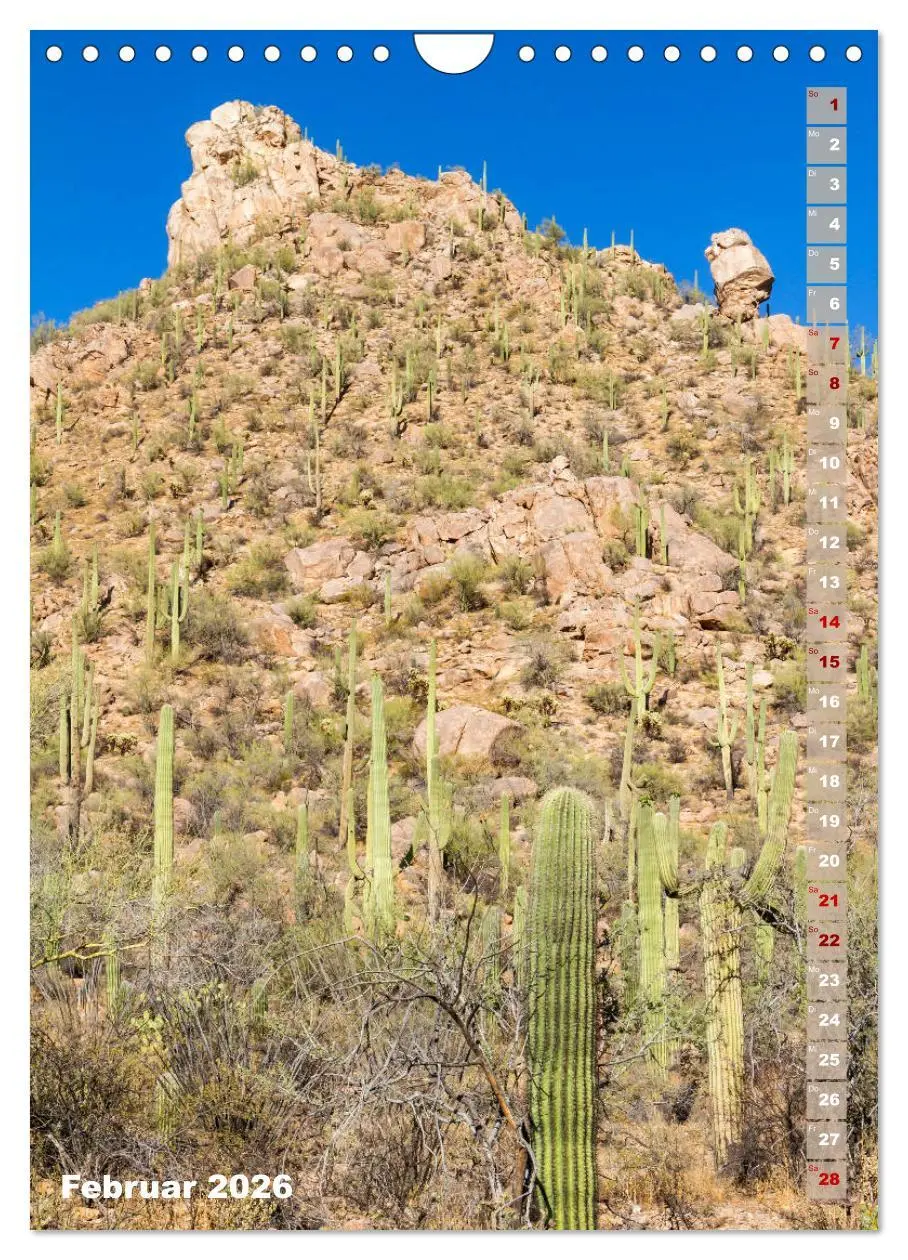 Bild: 9783516390278 | SAGUARO NATIONAL PARK Wüstenimpressionen aus Arizona (Wandkalender...