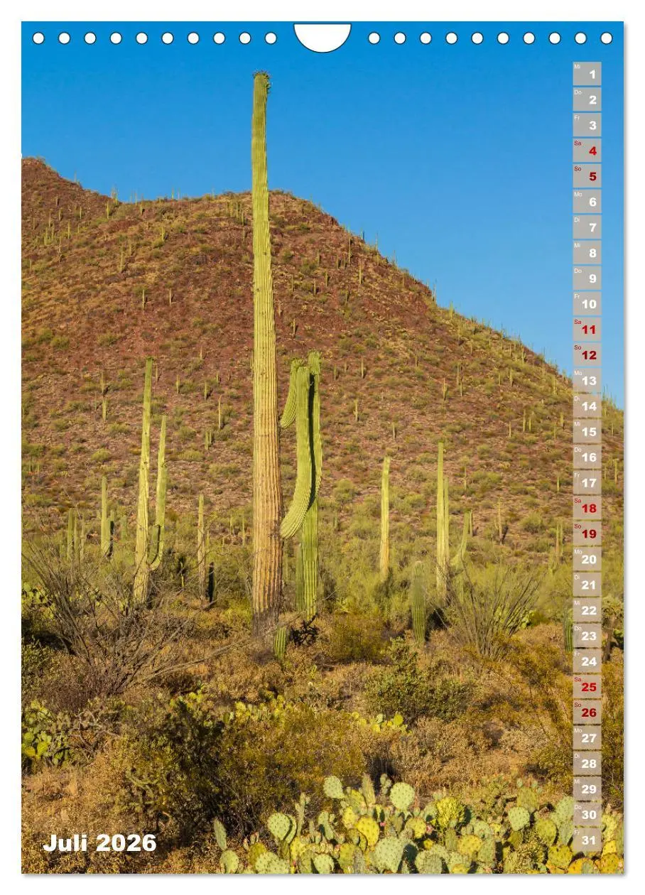Bild: 9783516390278 | SAGUARO NATIONAL PARK Wüstenimpressionen aus Arizona (Wandkalender...