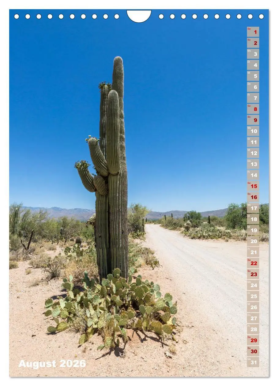 Bild: 9783516390278 | SAGUARO NATIONAL PARK Wüstenimpressionen aus Arizona (Wandkalender...