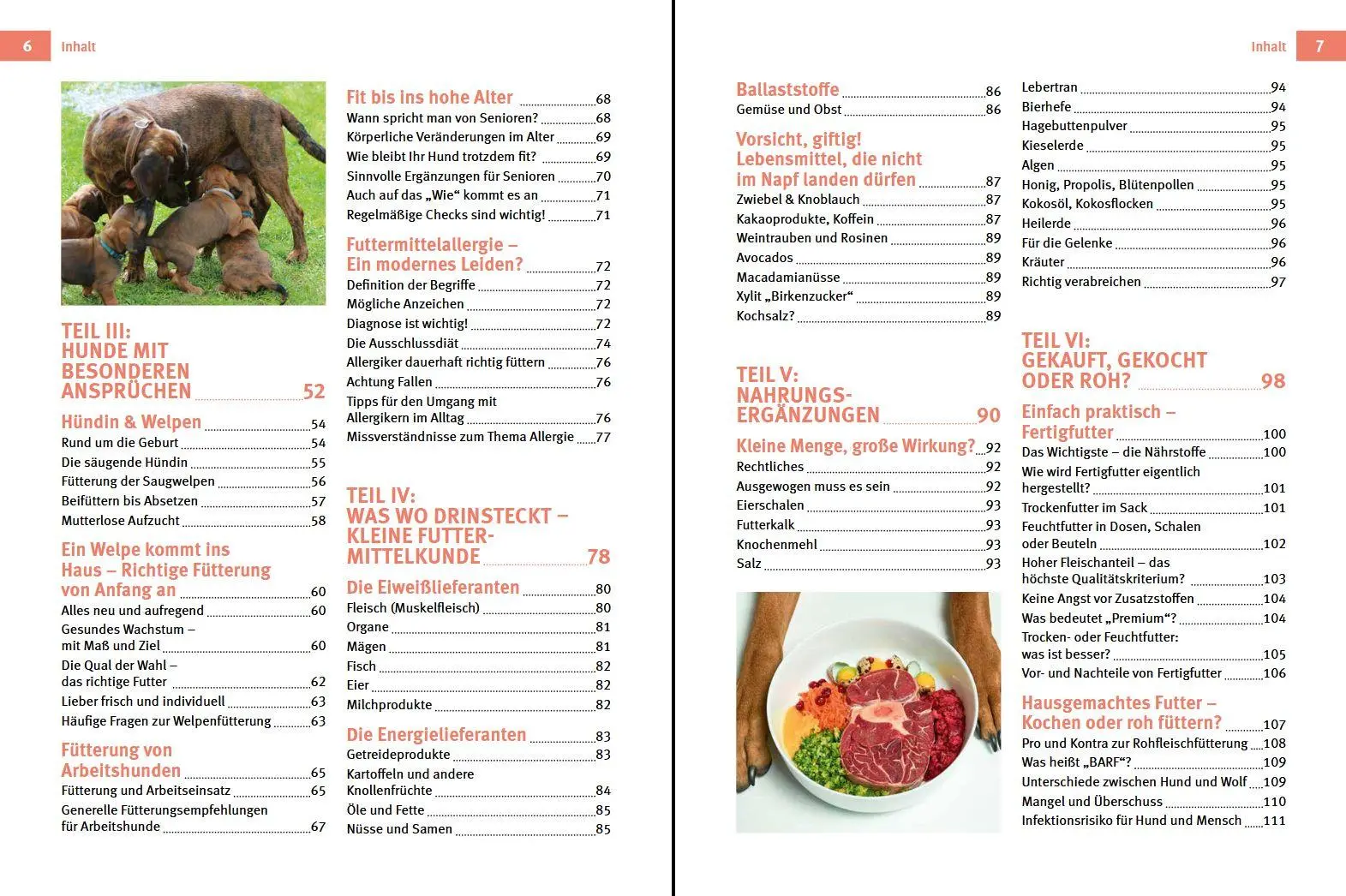 Bild: 9783702020378 | Hundefutter | Stefanie Handl (u. a.) | Buch | 144 S. | Deutsch | 2022