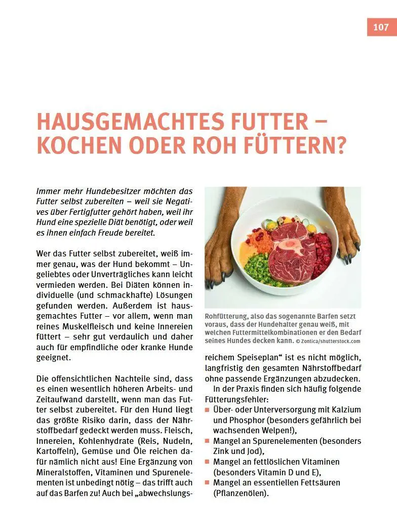 Bild: 9783702020378 | Hundefutter | Stefanie Handl (u. a.) | Buch | 144 S. | Deutsch | 2022