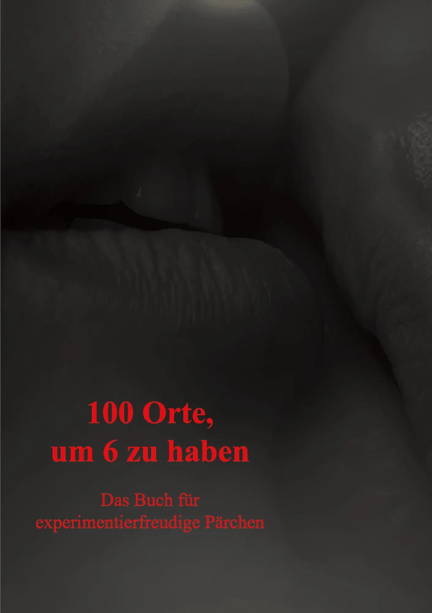 Cover: 9783985270378 | 100 Orte, um 6 zu haben | Das Buch für experimentierfreudige Pärchen