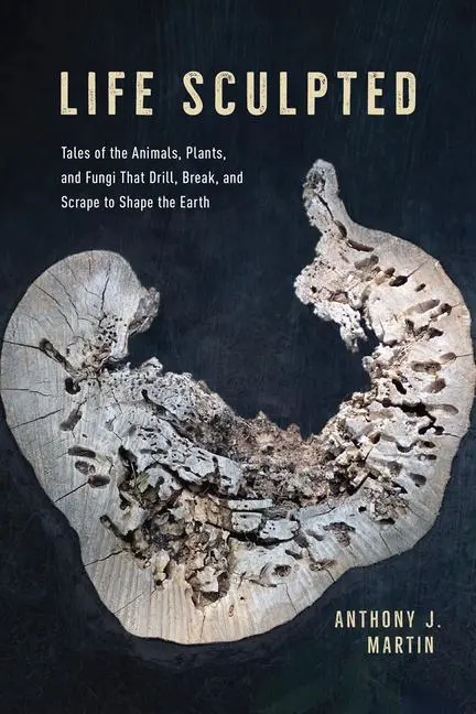 Cover: 9780226810478 | Life Sculpted | Anthony J Martin | Buch | Gebunden | Englisch | 2023