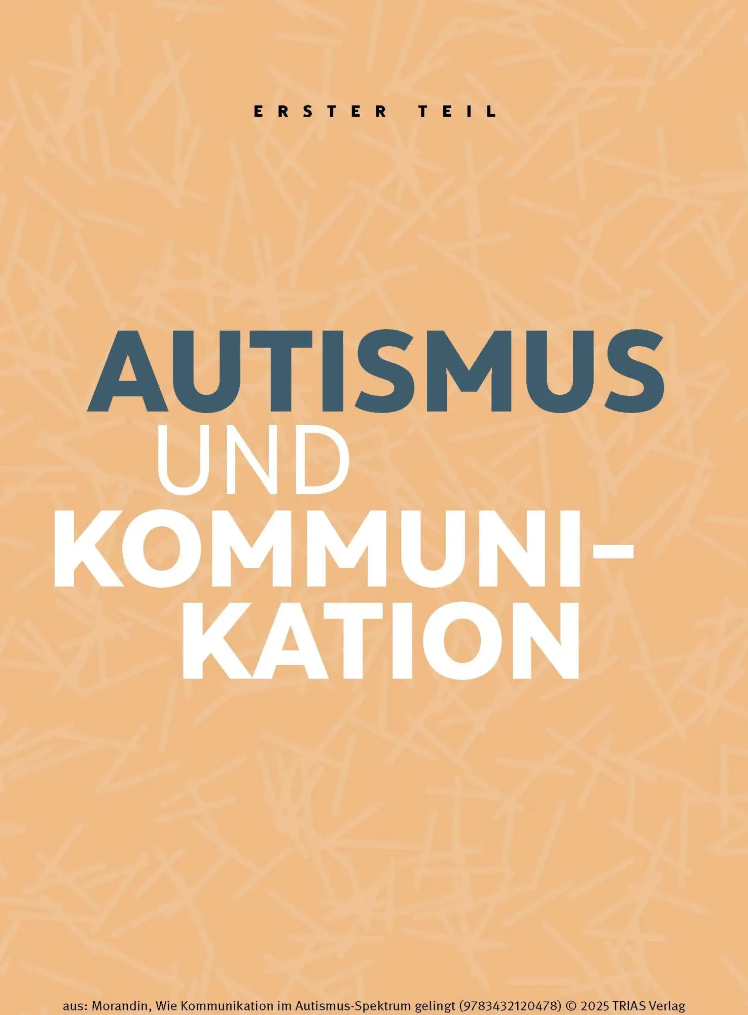 Bild: 9783432120478 | Wie Kommunikation im Autismus-Spektrum gelingt | Anika Morandin | Buch
