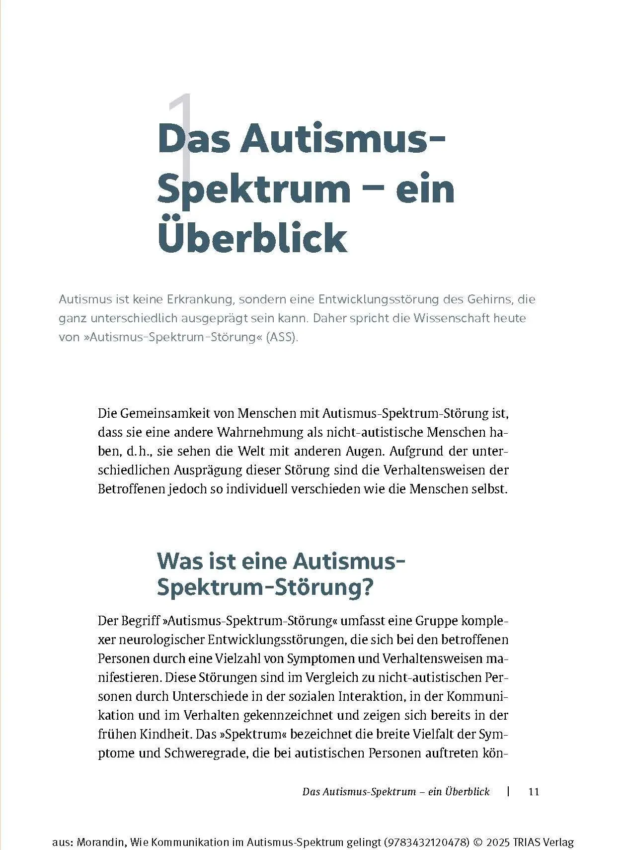 Bild: 9783432120478 | Wie Kommunikation im Autismus-Spektrum gelingt | Anika Morandin | Buch