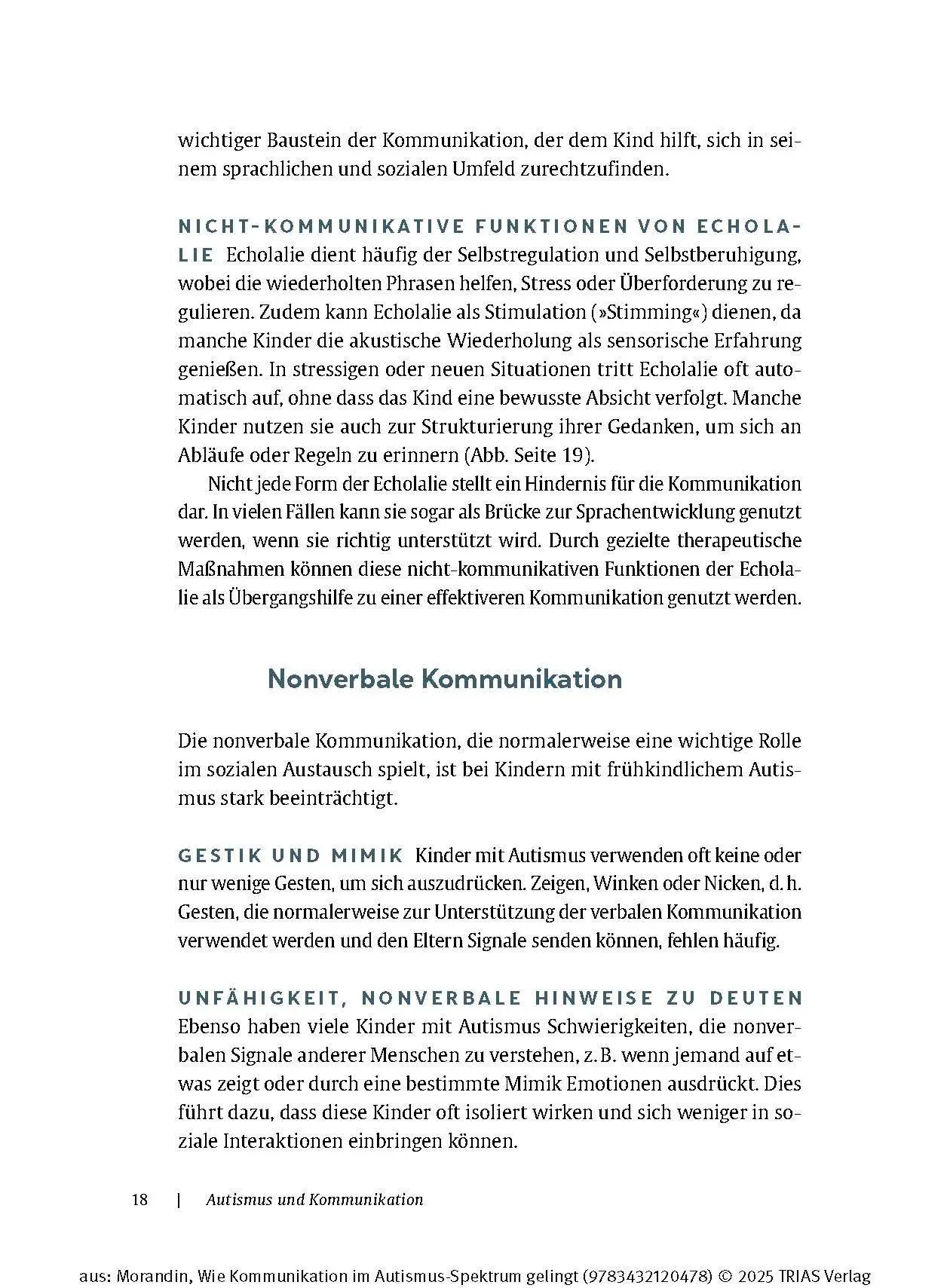 Bild: 9783432120478 | Wie Kommunikation im Autismus-Spektrum gelingt | Anika Morandin | Buch