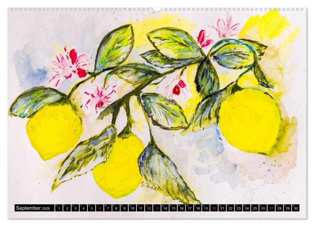 Bild: 9783457970478 | Blumenjahr - Bunte Blüten in Aquarell (Wandkalender 2026 DIN A2...
