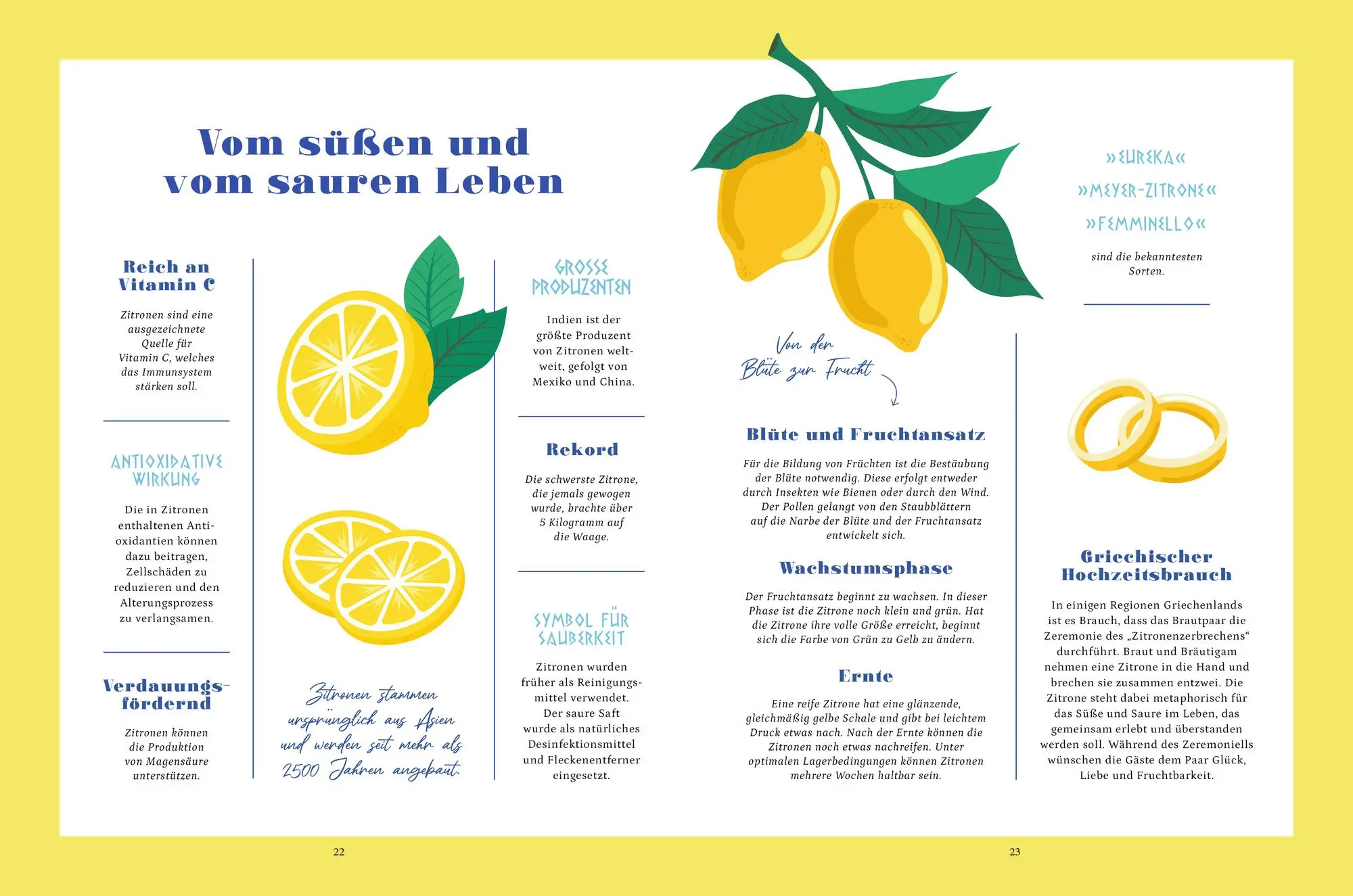 Bild: 9783756710478 | Kaliméra | Sommerküche aus Griechenland | Alina Sawallisch (u. a.)