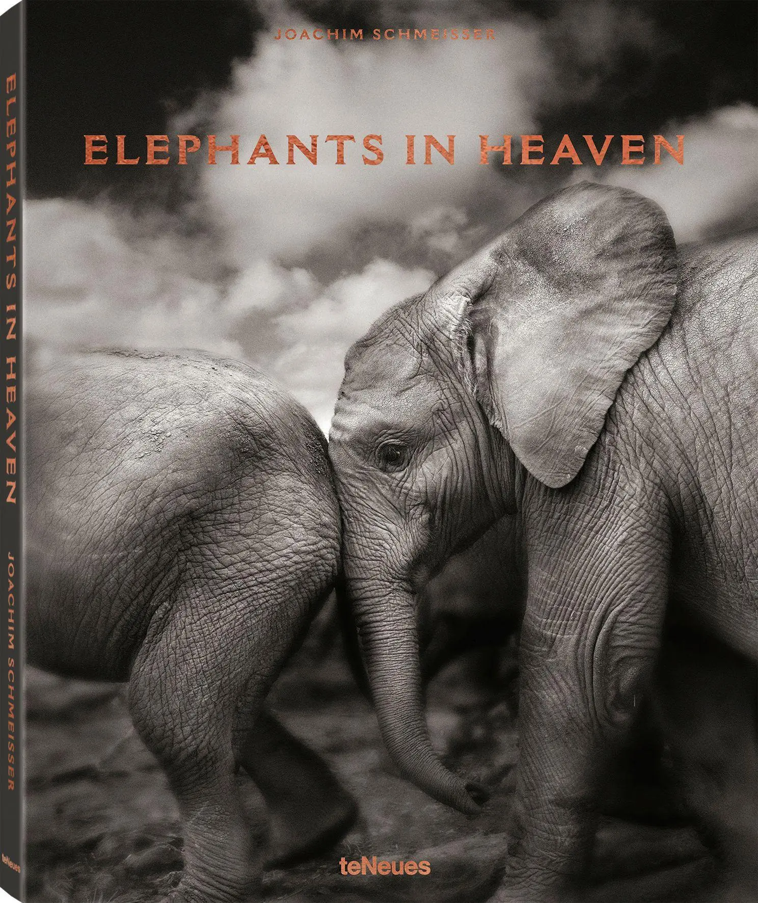 Cover: 9783961710478 | Elephants in Heaven | Dt/engl/frz | Joachim Schmeisser | Buch | 176 S.