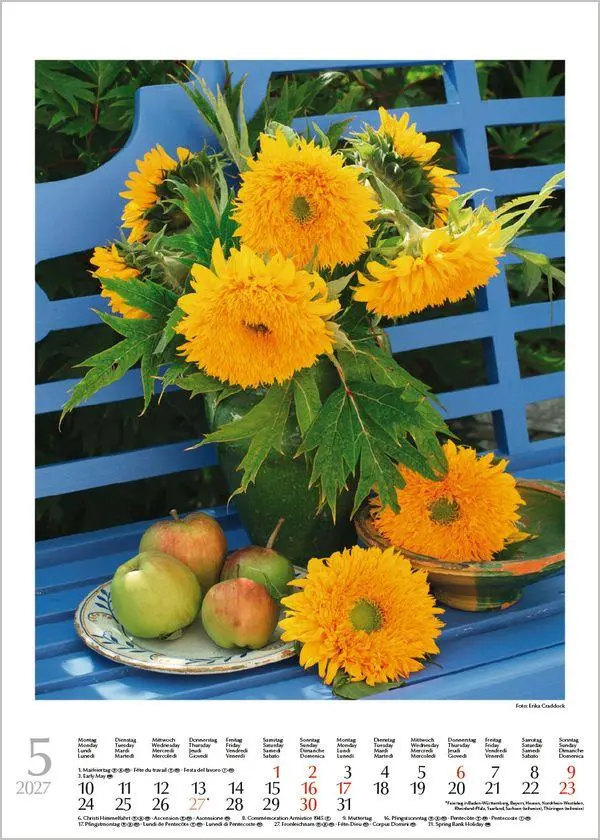 Bild: 9783819300578 | Blumenträume 2027 | Verlag Korsch | Kalender | Spiralbindung | 13 S.